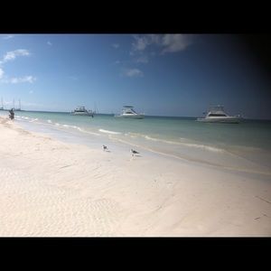 Meet your Posher, Carmen